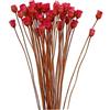 Dorccsi Bouquet di margherite secche naturali, decorazione in vaso, da tavolo, 50 steli, fiori secchi rossi naturali, fiori finti per la decorazione in vaso bouquet di margherite secche