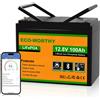 ECO-WORTHY Lifepo4 Batteria al litio Bluetooth 12 V 100 AH, 12V 100AH Bluetooth