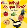 Anna Owen What do you like? (Tascabile) Collins Big Cat