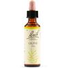 SCHWABE PHARMA ITALIA SRL OLIVE BACH ORIG 20ML