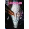 Neil Gaiman The Sandman: The Deluxe Edition Book Two (Copertina rigida)