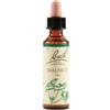 SCHWABE PHARMA ITALIA SRL Walnut Bach Orig 20 Ml