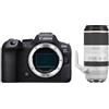Canon EOS R6 Mark II + RF 100-500 mm f/4.5-7.1 L IS USM "