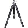 Rollei Alfa Mark III solido come una roccia "