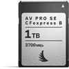 Angelbird AV PRO SE CFexpress B v4 MK2 1 TB"