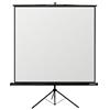 Reflecta Tela a cavalletto Crystal Line 180x180 cm "