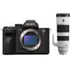Sony Alpha 7R V (ILCE-7RM5) + SEL 200-600 mm f/5,6-6,3 G OSS "