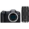 Canon EOS R8 + RF 75-300 mm f4-5,6 "