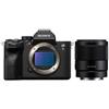 Sony Alpha 7S III (ILCE-7SM3) + 35 mm f/1.8 "