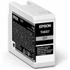Epson Inchiostro SureColor SC-P700 grigio"