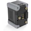 Patona Batteria PROTECT Gold Mount G300-PD100"