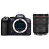 Canon EOS R6 Mark II + RF 24-105 mm F4 L IS USM "