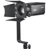 Godox Luce LED di messa a fuoco S60BI"
