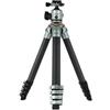 Rollei Lion Rock Traveler Pro "