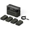 Tilta stazione di ricarica portatile verde per il kit di batterie DMW-BLK22 (4 batterie "