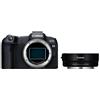 Canon Corpo EOS R8 + adattatore obiettivo EF-EOS R (senza anello di controllo) "