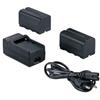 Falcon Eyes 2 batterie ricaricabili NP-F750 + caricabatterie "