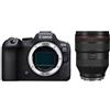 Canon EOS R6 Mark II + RF 28-70 mm f/2.0 L USM "