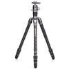 Benro Kit treppiede Rhino 24C + VX25 (FRHN24CVX25) "