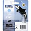 Epson T7605 ciano chiaro"