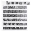 Adox Buste in polipropilene da 35 mm (29,3 cm x 25,6 cm) formato extra-large - 1 pezzo "