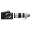 Sony Alpha 7R VI (ILCE-7RM6) + SEL 200-600 mm f/5,6-6,3 G OSS "