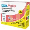 NOVA ARGENTIA Srl IND. FARM Nova Mgkb The Pesca 12bust