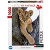 Nathan Puzzle, 1000 pezzi, Cucciolo di leone nel deserto, Dai 14 anni in su, Incastro perfetto, Collezione Animali selvatici