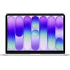 Apple MacBook Pro 13" A18, 8 GB di RAM, 256 GB di memoria, argento