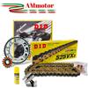 Did Kit Bmw F 800 GS Adventure 2012 Rapporti Modificati Catena Did 525 VX3 MOTO