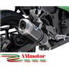 TERMIGNONI Terminale Di Scarico Termignoni Kawasaki Ninja 300 R 2013 13 Relevance Carbonio