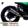 TERMIGNONI Terminale Di Scarico Termignoni Kawasaki Ninja 300 R 2013 13 Relevance Inox