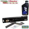 Ohlins Molle forcella Ohlins Z 750 R 2011 Kit Olio Moto Sospensione Lineari K 95