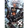 Panini 100% Marvel