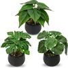 Briful Set di 3 piccole piante finte in vaso di ceramica, piante artificiali Monstera in vaso di Pilea, piante artificiali Scindapsus Aureus piante artificiali per casa, cucina, bagno, decorazione