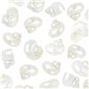SUNNYCLUE 1 scatola Da 20 pezzi di Conchiglie A Spirale Conchiglie Bianche Naturali Senza Foro Conchiglie A Spirale Turbo Hermit Paguro per Artigianato Riempitivi per Vasi Acquari Spiaggia Feste Decor