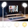 TELESIN Lampada da Scrivania, Luce Anulare Sicura per Gli Occhi da 10,5, Ring Light con Supporto & Timer, 9 Livelli di Luminosità, 3000k-6500K Dimmerabile, per Video, Laptop, Streaming Live, TikTok