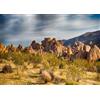 CORFOTO 2.1x1.5m Sfondo del parco nazionale di Joshua Tree Sfondo del deserto Montagne Rocciose Scenario naturale Sfondo fotografico Escursionismo Campeggio Immagini Decorazione della casa