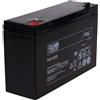 FIAMM Batteria Ricaricabile da Cambio per impianti solari Ponte elevatore 6V 12Ah (sostituisce Anche 10Ah)