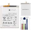 E-yiiviil EB-BA256ABS - Batteria di ricambio 5000 mAh/3,88 V, compatibile con Samsung Galaxy A25 5G/A55/A256 con strumenti