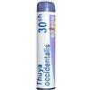 CEMON Srl THUYA OCCIDENTALIS 30CH GLOBULI