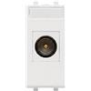 AVE Presa tv sat coassiale diretta iec maschio serie s44