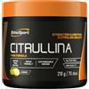 ETHICSPORT Citrullina EthicSport - Citrullina Malato 2:1 di alta qualità - Polvere solubile o Capsule vegetali - gluten free, vegan friendly - doping free tested* - Barattolo da 210 g