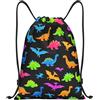 HLBSDM Simpatico zaino con coulisse azzurra a forma di dinosauro dei cartoni animati, ideale per sport, palestra, yoga e adulti, dimensioni 14x16,9 pollici (35,5x43 cm).