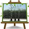 EURO PLANTS VIVAI Olivo Bella di Spagna Pianta da Frutto su Vaso - Altezza 140~160 cm - Età 3 Anni