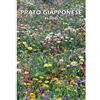 Italsementi PRATO GIAPPONESE NANO (SEMI)