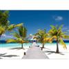 murando Carta da parati Spiaggia e Mare 500x350 cm Fotomurali in TNT Murale alla moda Decorazione da Muro XXL Poster Gigante Design Soggiorno Cameretta Carta per pareti Paesaggio Ponte c-B-0539-a-a
