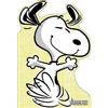 Charles M Schulz Cala Spinner A Best Friend for Snoopy (Libro di cartone)