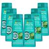 Garnier Fructis Coco Water - Shampoo chiarificante per radici oleose e punte asciutte, idratante, 250 ml, confezione da 6