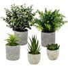 Vexaflow Set da 5 Piante Finte, Mini Piante Finte Serpentine, Agave Succulente, Artificiali Realistiche, Materiale di Alta Qualità, Facili da Mantenere, Adatte per Ufficio, Casa e Eventi